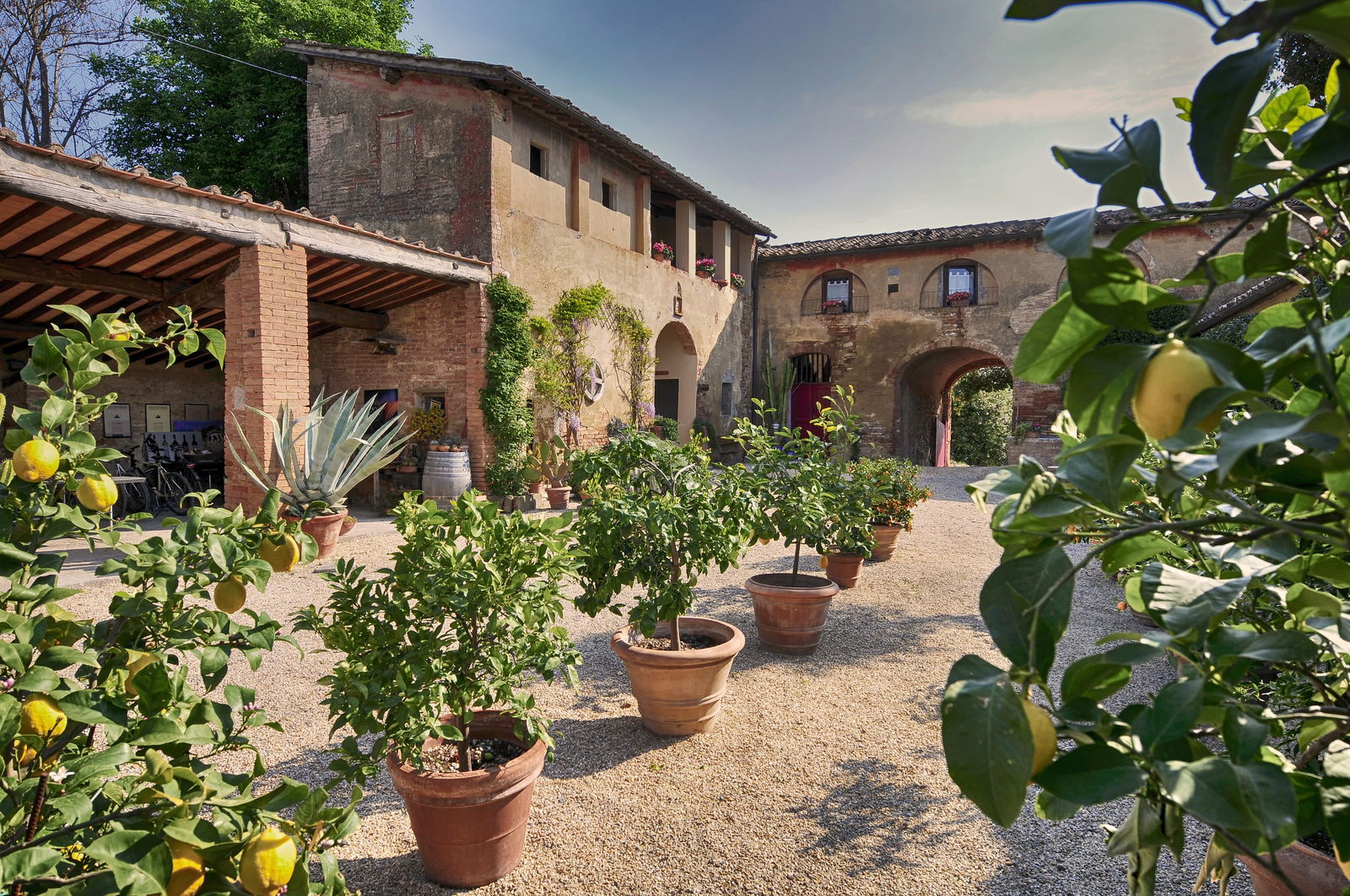 La Lastra Vineyards and B&B: The Ultimate Wine Experience