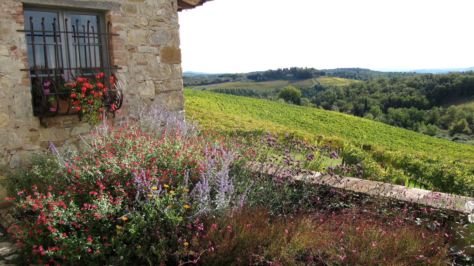 Panoramic view of Chianti from Borgo Argenina