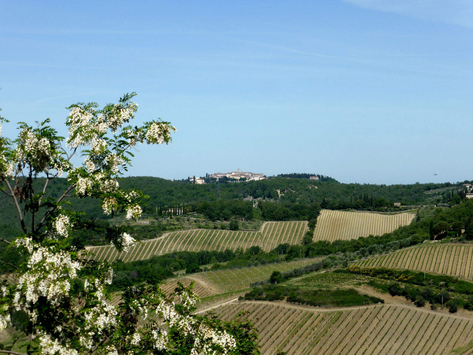 Panoramic views of Gaiole in Chianti