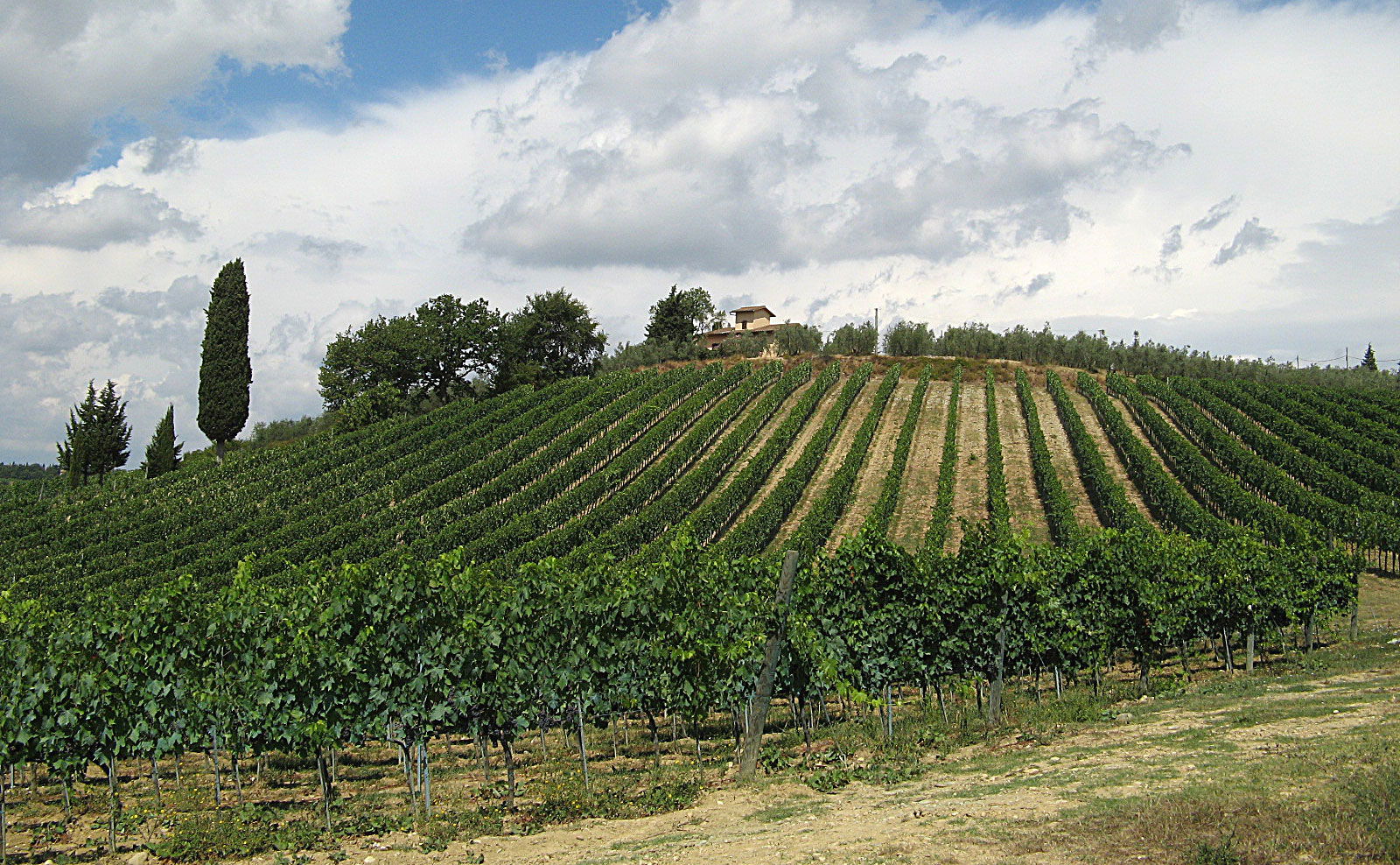 Great scenery and wines in Chianti