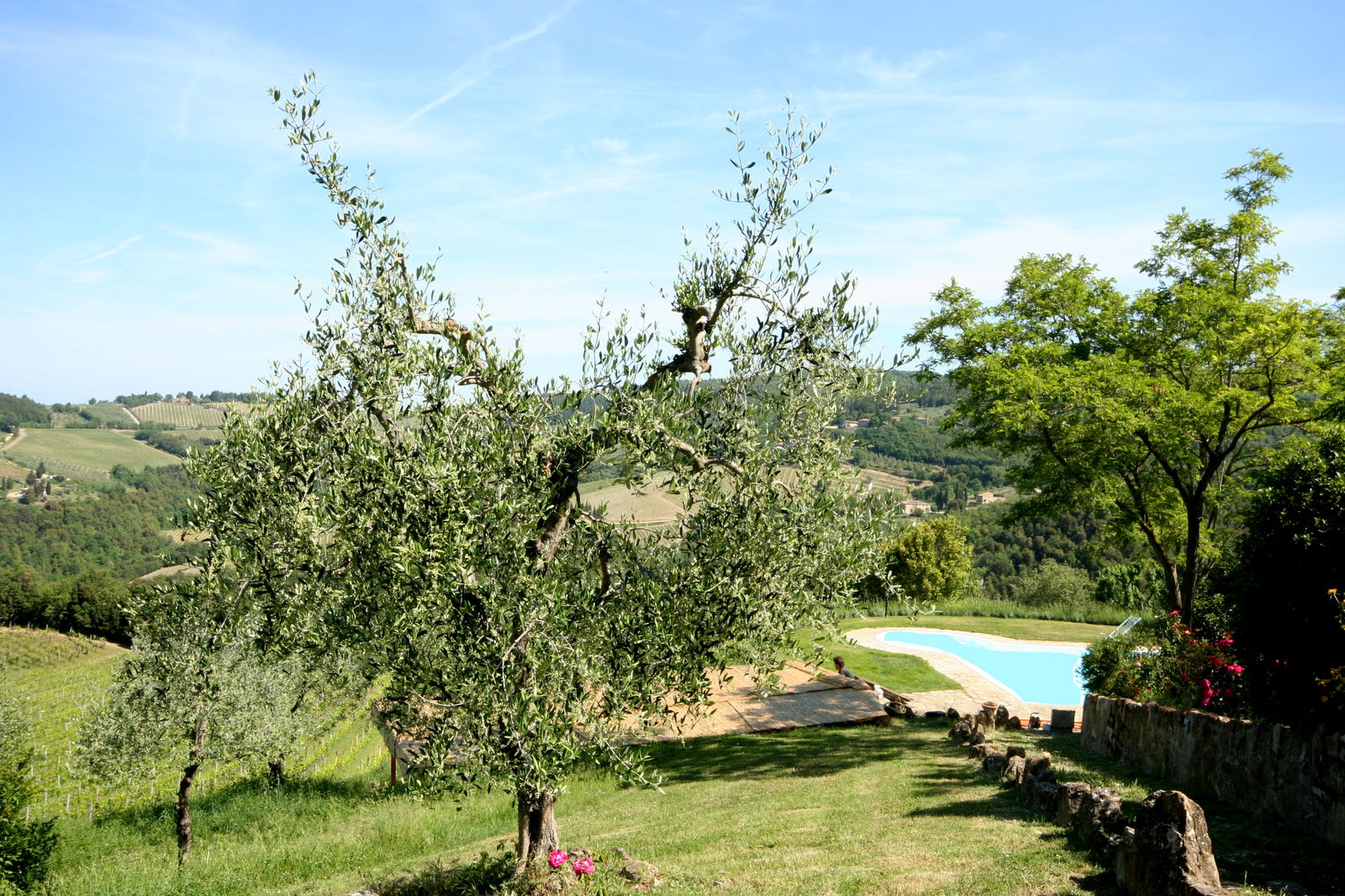 La Rocca di Cispiano: Accommodations & Vineyards in Chianti