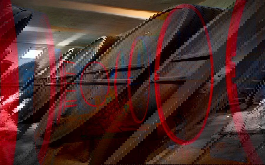 Wine Cellar at Villa Dianella