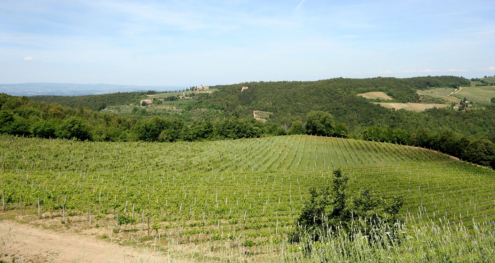 La Rocca di Cispiano: Accommodations & Vineyards in Chianti